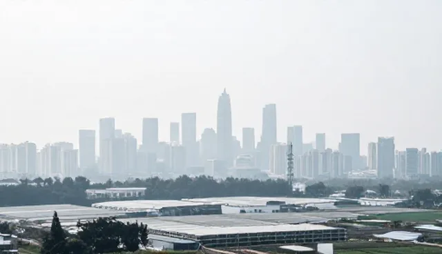 企业名录查询在风险防范中的适用条件与选择依据