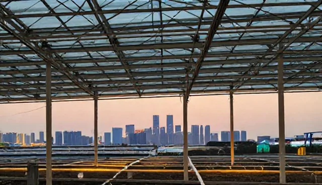 企业名录查询:多行业选型关注点分析